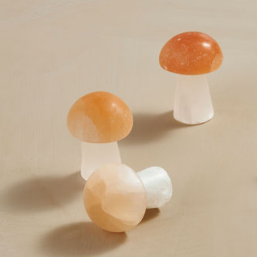 Selenite Mushroom Orange Top