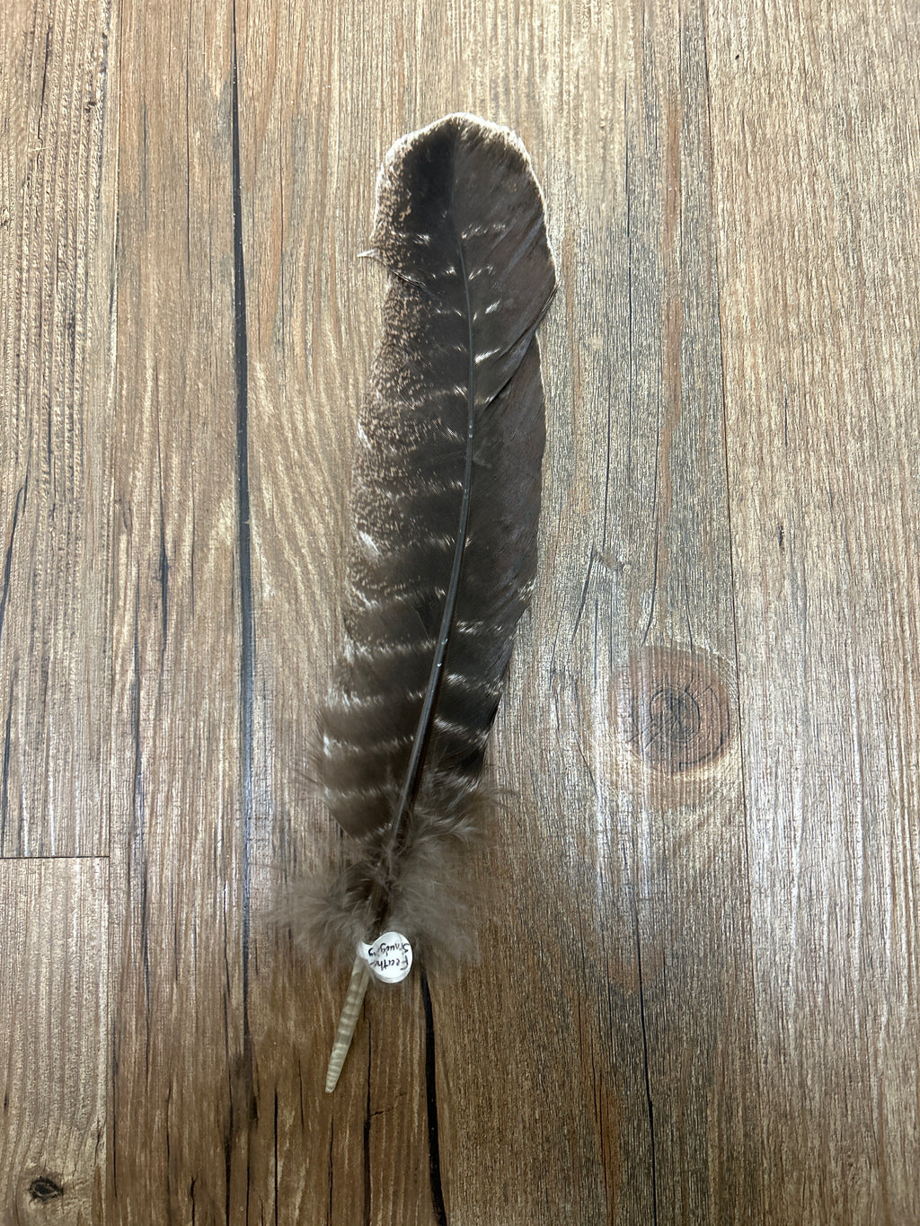 Smudging Feather For Cleansing - Lighten Up Shop