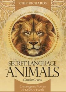 Secret Language of Animals Oracle Cards - Lighten Up Shop