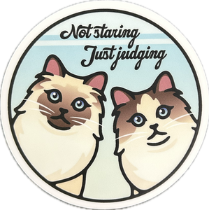 Not Staring Just Judging Sticker - Lighten Up Shop