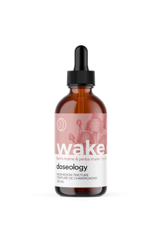 Wake Lion’s Mane & Yerba Mate Tincture - Lighten Up Shop