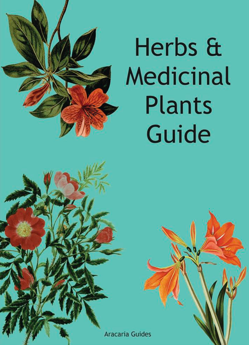 Herb & Medicinal Plants Guide Fold Out