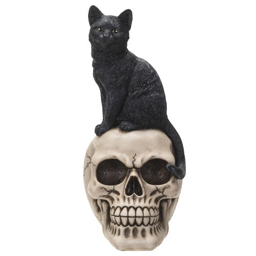 Cat on Skull Statue - Lighten Up Shop