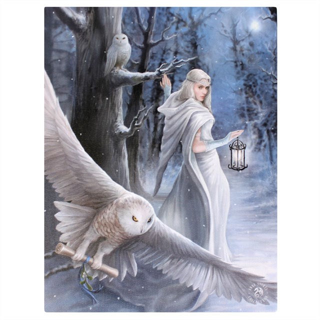 Midnight Messenger Canvas Print - Lighten Up Shop