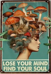 Metal Wall Plaque Lose Your Mind Find Your Soul - Lighten Up Shop