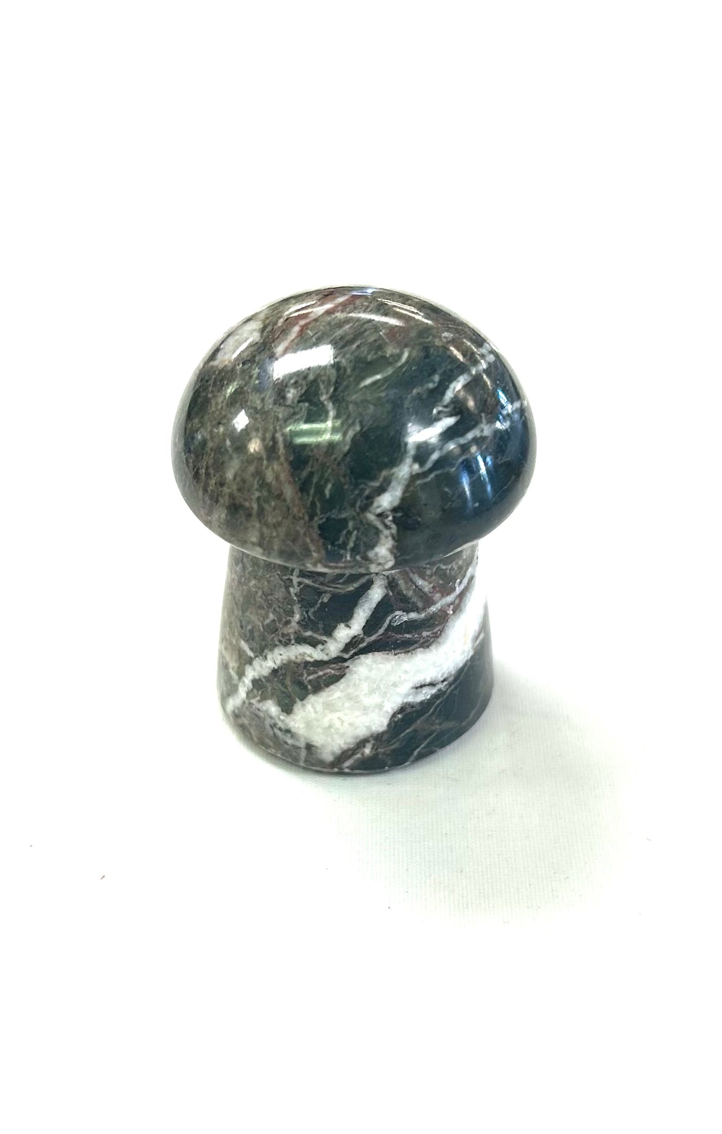 Midnight Marble Mushroom