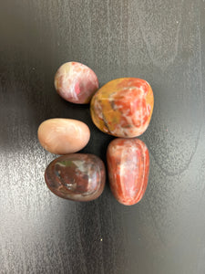 Bamboo Leaf Agate Loose Tumbled - Lighten Up Shop